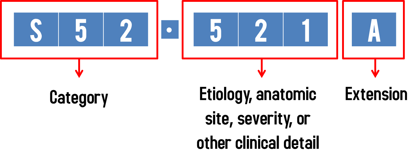 INFOGRAPHIC Format Of ICD10 Diagnosis Code